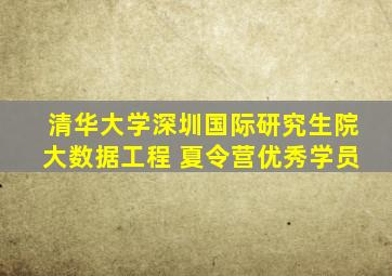 清华大学深圳国际研究生院大数据工程 夏令营优秀学员